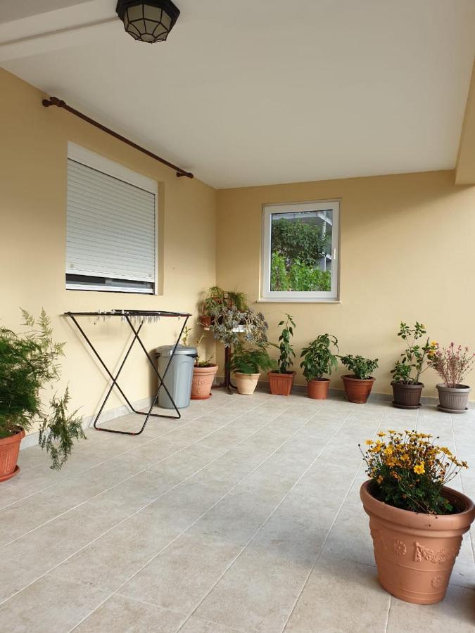 Apartment Jelena Kotor Exteriör bild