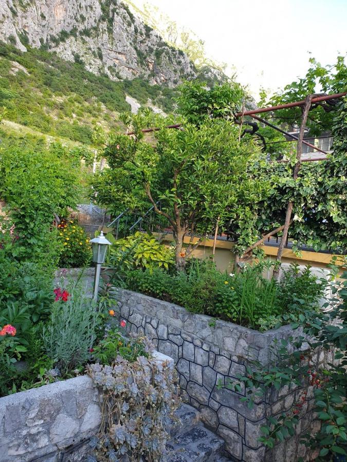 Apartment Jelena Kotor Exteriör bild
