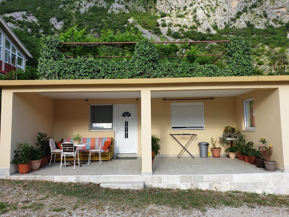 Apartment Jelena Kotor Exteriör bild